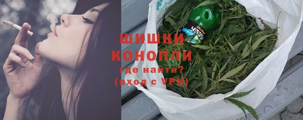 индика Богданович