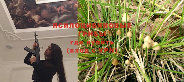 индика Богданович