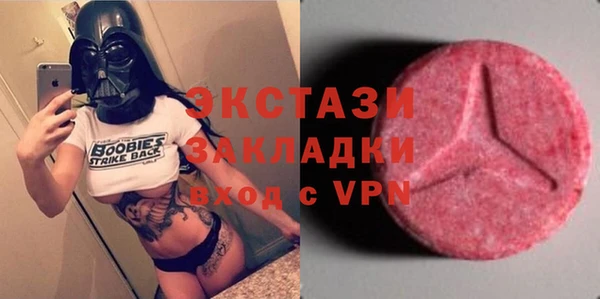 индика Богданович