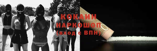 PSILOCYBIN Богородицк