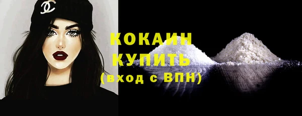 индика Богданович