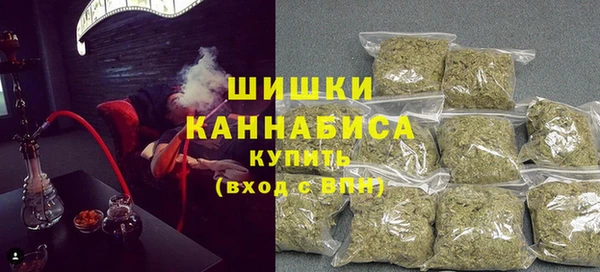 индика Богданович