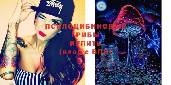 индика Богданович