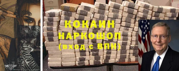 индика Богданович