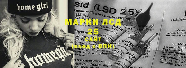 индика Богданович