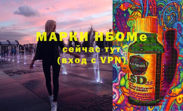 индика Богданович