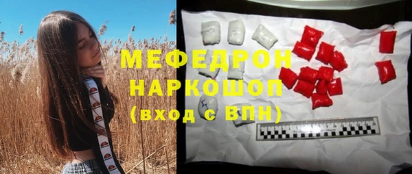 индика Богданович